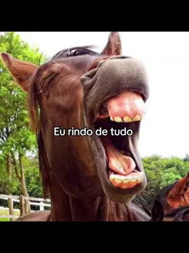 #fyp #viral #fypシ゚ 