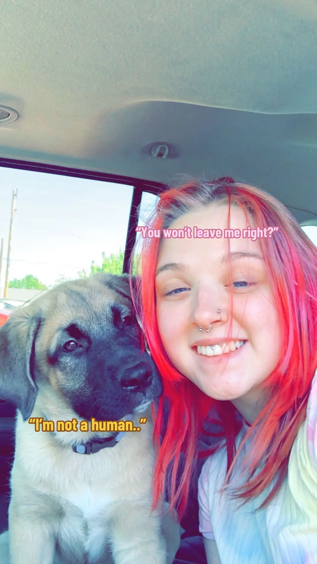 He’s my soul dog ❤️ #fyp #foryoupage #foryou #souldog 