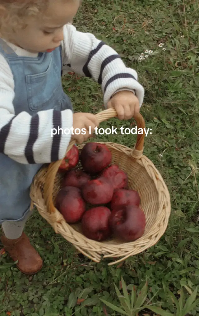 I love fall days like this 🍂🤍 #MomsofTikTok #fallinspo #photodump #octobervibes #sahmlife 