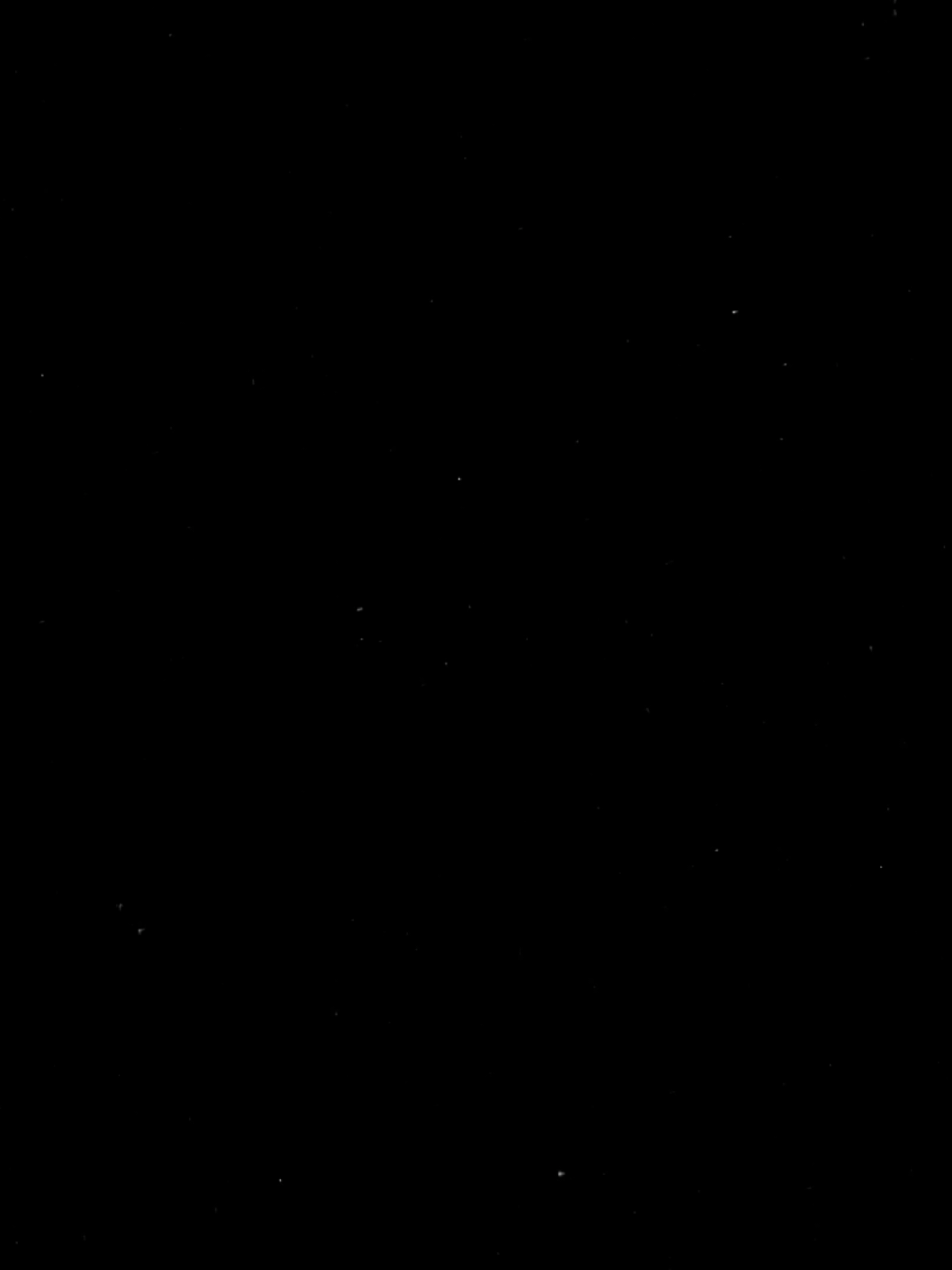 #seasonofthewitch :: e vai ser! . . . #traducaodemusica #lanadelrey #scarystoriestotellinthedark halloween #tqrkio. 