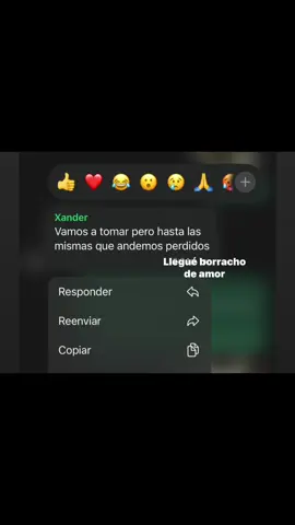 #borrachodeamor #musica #fyp #amo #paratii 