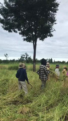 #fyp តោះដល់ម៉ោងហើយ🌾🌱