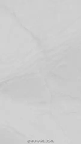 Doggie teaches you how to RESET THE UNIVERSE! (just an exeple) #LearnOnTikTok #educational #doggieteaches #dog 