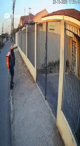 Acho q agora o cachorro pegou o gorila de jeito kkkk #sora2 #humor #ia #foryou 