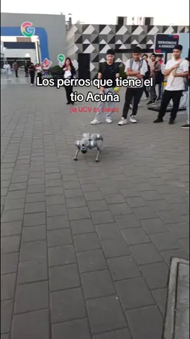 Plata como canchaa #robot #limanorte #ucvconnect #acuña #mascotas