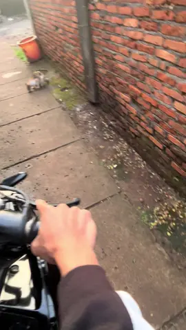 Nyatanya suara knalpot bikin lebih tenang di tengah isi kepala yang sunyi☺️ #fypppppppppppppp #CBTOBRUT #cb150r #cb150rkomorodstyle #stdbersih 