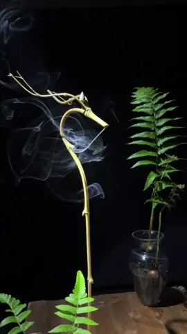 An nhiên #xôngtrầm #dụngcụxôngtrầm #phòngtrà #rồng #trầmhương 