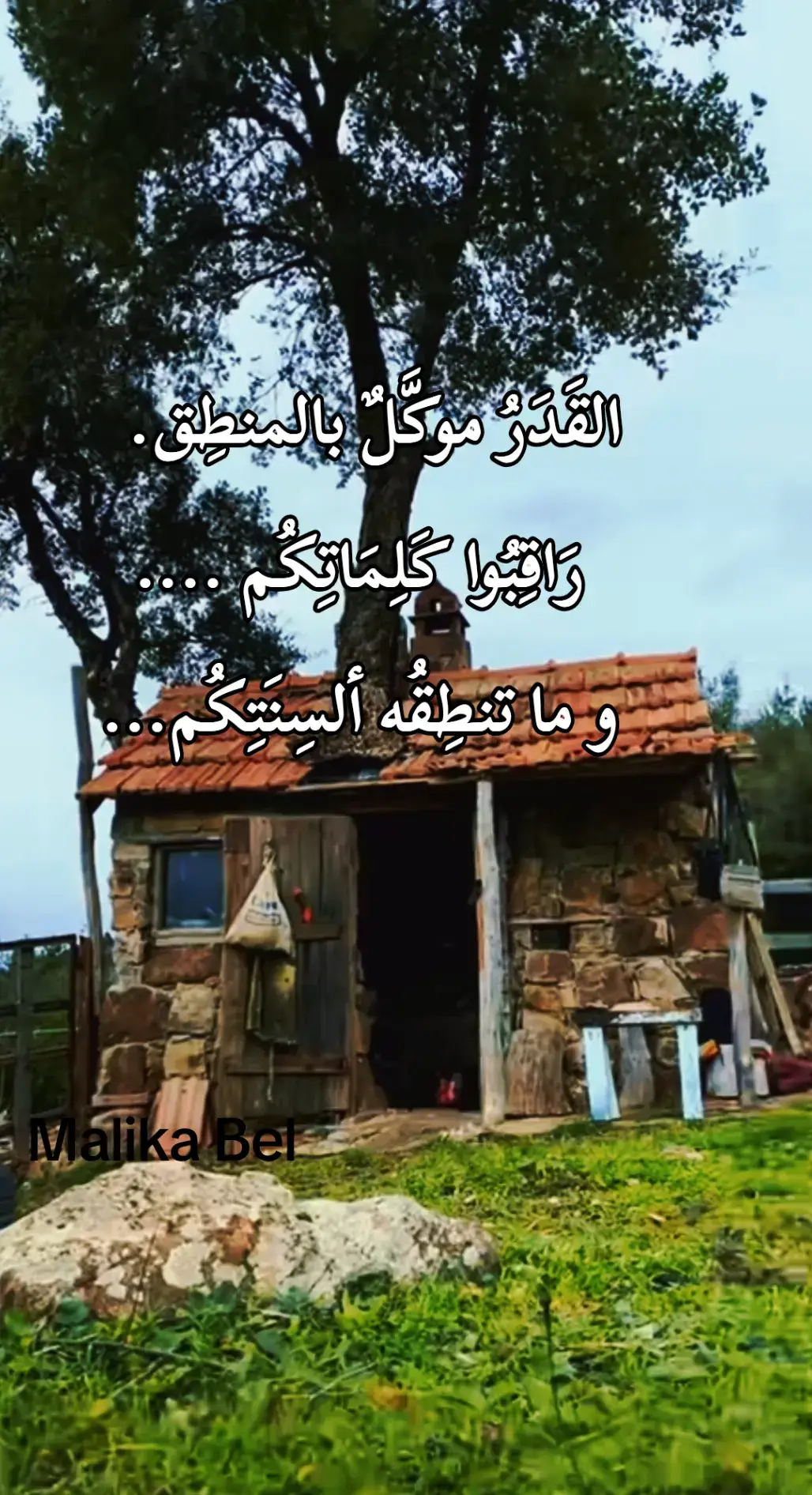 #كتاب في عنوان 