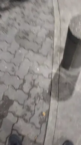 EGRESADO EN TARADOS MENTALES  #bahiablanca #rivadabia #delivery #peya #pedidoya 