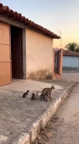 🤣🤣🤣🤣🙏🏻❤️ #sora #videoviral #babytiktok #babytiktok 