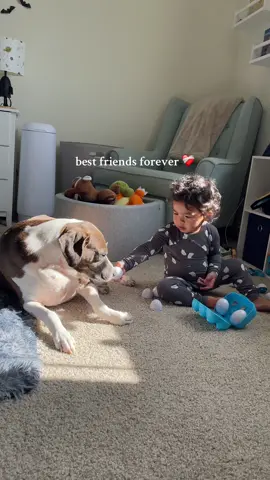 his forever best friend 👶🏽🤍🐶 #fyp #babysbestfriend #toddlerlife #dogbestfriend #bestfriendsforever 