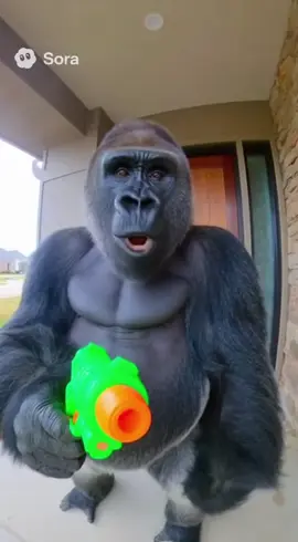 Ight I’ll get you some bananas G#fyp #sora #gorilla #funny