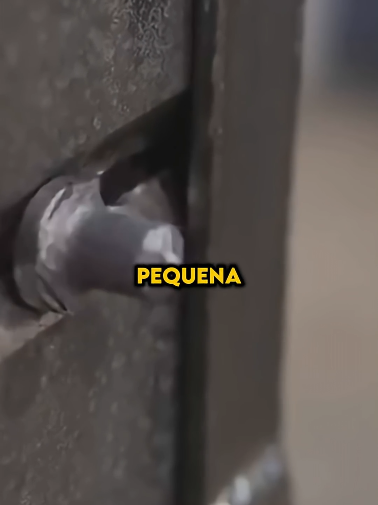 COMO SOBREVIVER COMO UM SOLDADO MEDIEVAL! #curiosidades #curiosidadeshistoricas #historia