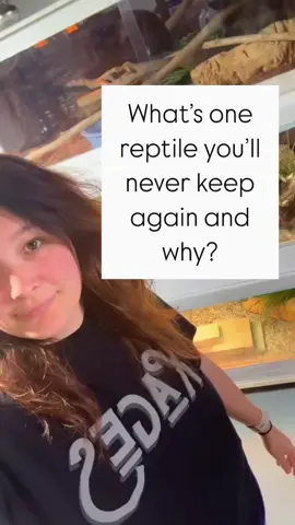 For me it’s bearded dragons 🫣 They were never a reptile I was interested in to begin with, but I made an exception for Tanzy because she was a special needs baby and she was so gosh darn cute! 🥰 But one is certainly enough for me! #reptiles #reptilesoftiktok #reptilekeepers #petreptiles #reptilemom 