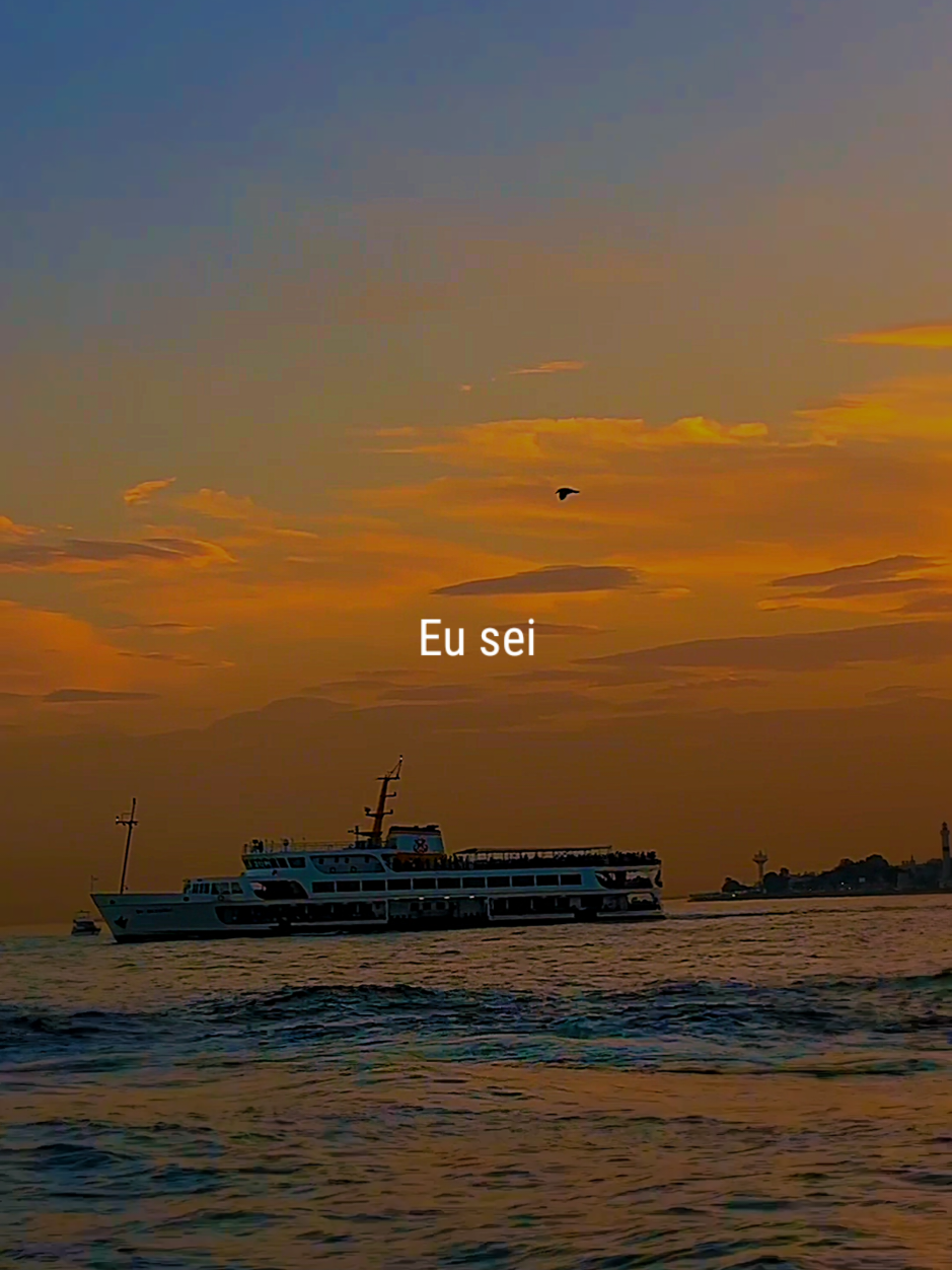 Eu sei, tudo pode acontecer... 🎶 // #papasdalingua #eusei #nostalgia #goodvibes #legendasmusic 