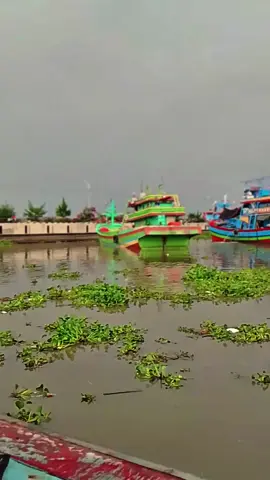 #fyp#nelayanjuwanapapua wayah e ngetan wo