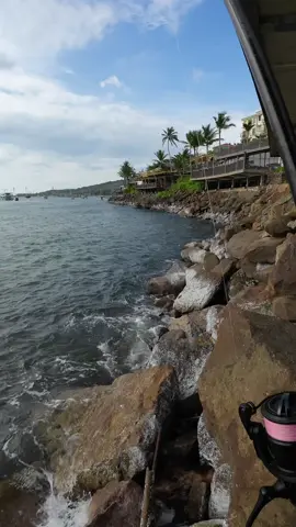 Trước khi con nước đang lớn, mực chưa vào, hãy đùa với giỡn với cá mú 🤣 #eging #caumuc #phuquoc #lhduc27 