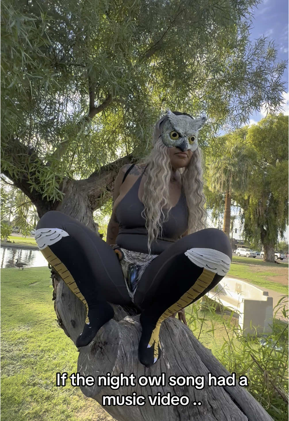 Tell @PEW PEW PEW to put me in the next video comment below … #fyp #explorepage✨ #nightowl #foryoupage #owl #viral #musicvideo #whootwhoot 