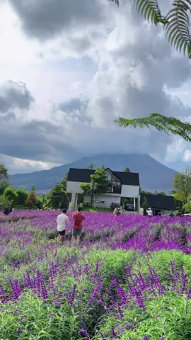 Serune cafe / villa gading☺️ #fyp #berastagi #sinabungberastagi #healing #fyppppppppppppppppppppppp 