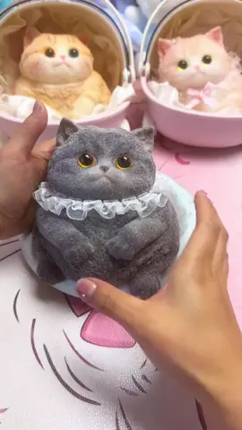 Gemasnya nggak ada obat! 😻 Squishy kucing super lembut dan slow rebound ini siap jadi teman healing kamu~ Tekan, peluk, lepaskan stresmu dengan imutnya mereka 💕 #SquishyKucing #KucingImut #squishy 