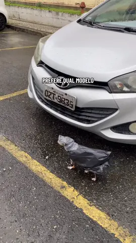 Fez sucesso no app vizinho kk