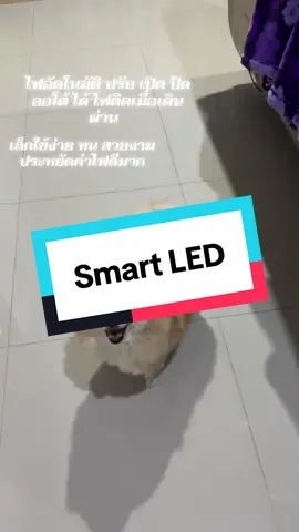 #smartled #ไฟledติดห้อง #ไฟledอัตโนมัติ #ไฟติดผนังห้อง #ของดีบอกต่อ 