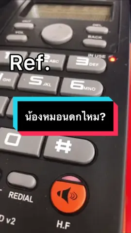 น้องหมอดกไหม??#fyp#drawing#meme#โค่เก#น้องหมอยดกไหม 