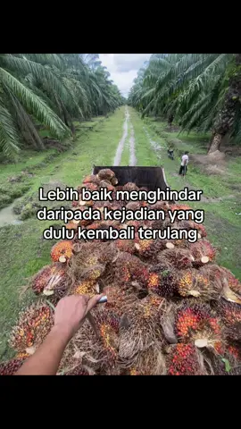 #fotolive 