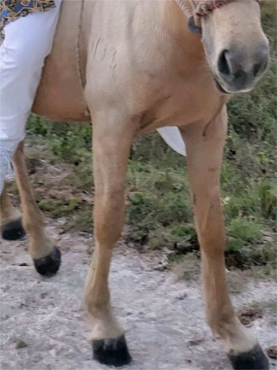 Horor ☠️💀 Pengalaman pertama nginep di hotel kapsul, pagi-pagi kebangun gegara gempa bumi 😜🤟