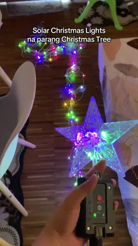 Ang ganda niya parang Christmas tree na din #christmaslights #solarchristmaslights #christmasdecor #ledlights 