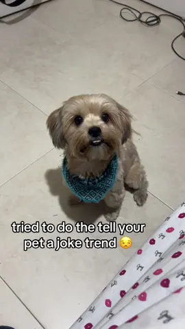 all he heard was hot dog cant even do the trend right🤦🏿‍♀️  #fyp #pets #hotdog #smh 