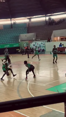 🇸🇳🇺🇸#basketball #challenge 