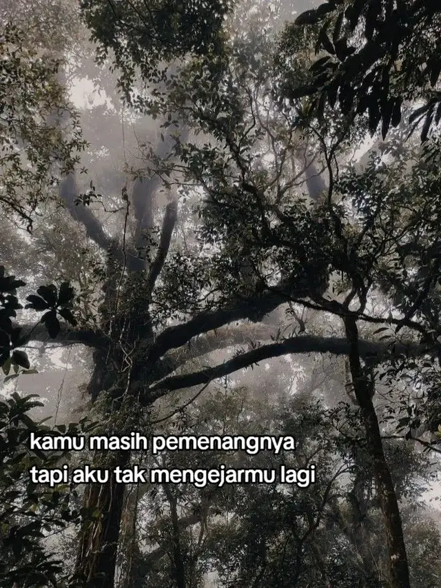 Bahan-bahan: - 1 buah jeruk nipis - 1/2 pcs gula merah - 5 siung bawang merah - 5 siung bawang putih - 60 gr lengkuas muda - 2 kemiri bakar - 1,5 sdm ketumbar butiran, oseng kering - 1 sdm lada butiran - 2 cm jahe - 2 genggam kacang tanah sangrai - 1 keping kecil gula aren - Minyak secukupnya Bumbu Oles: - 4 sdm kecap asin - 1 sdm gula pasir - 5 sdm kecap manis - Garam secukupnya Cara Membuat: - Haluskan bawang merah, bawang putih, lengkuas muda, kemiri bakar, ketumbar, lada, dan jahe dengan menggunakan cobek atau blender. - Tambahkan sedikit minyak agar mudah halus. - Haluskan kacang tanah sangrai menggunakan ulekan hingga agak halus, namun masih ada tekstur kasar. - Dalam wadah, campurkan bumbu halus dengan kacang tanah halus, gula merah, gula aren, dan perasan jeruk nipis. Aduk rata. - Campurkan kecap asin, kecap manis Bango, gula pasir, dan sedikit garam. Aduk hingga gula larut dan rata. - Oleskan bumbu sate ke potongan ayam. Diamkan selama 30 menit agar bumbu meresap. - Panggang ayam di atas bara api atau grill hingga matang, sambil sesekali mengoleskan bumbu oles. #fyp #fypシ゚viral #lewatberanda #morowali_sulteng_bahodopi #munapride🏝️ 