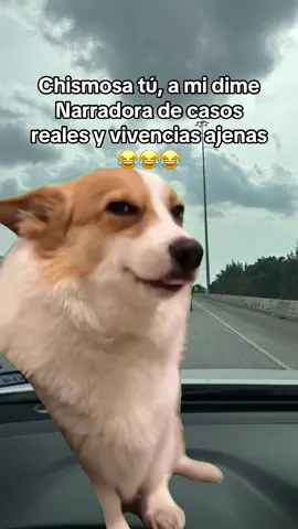 #CapCut #chismosa #comedia #fy #tiktokviral 