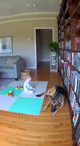 Not all heroes wear capes #fyp #hero #baby #Love #dog 