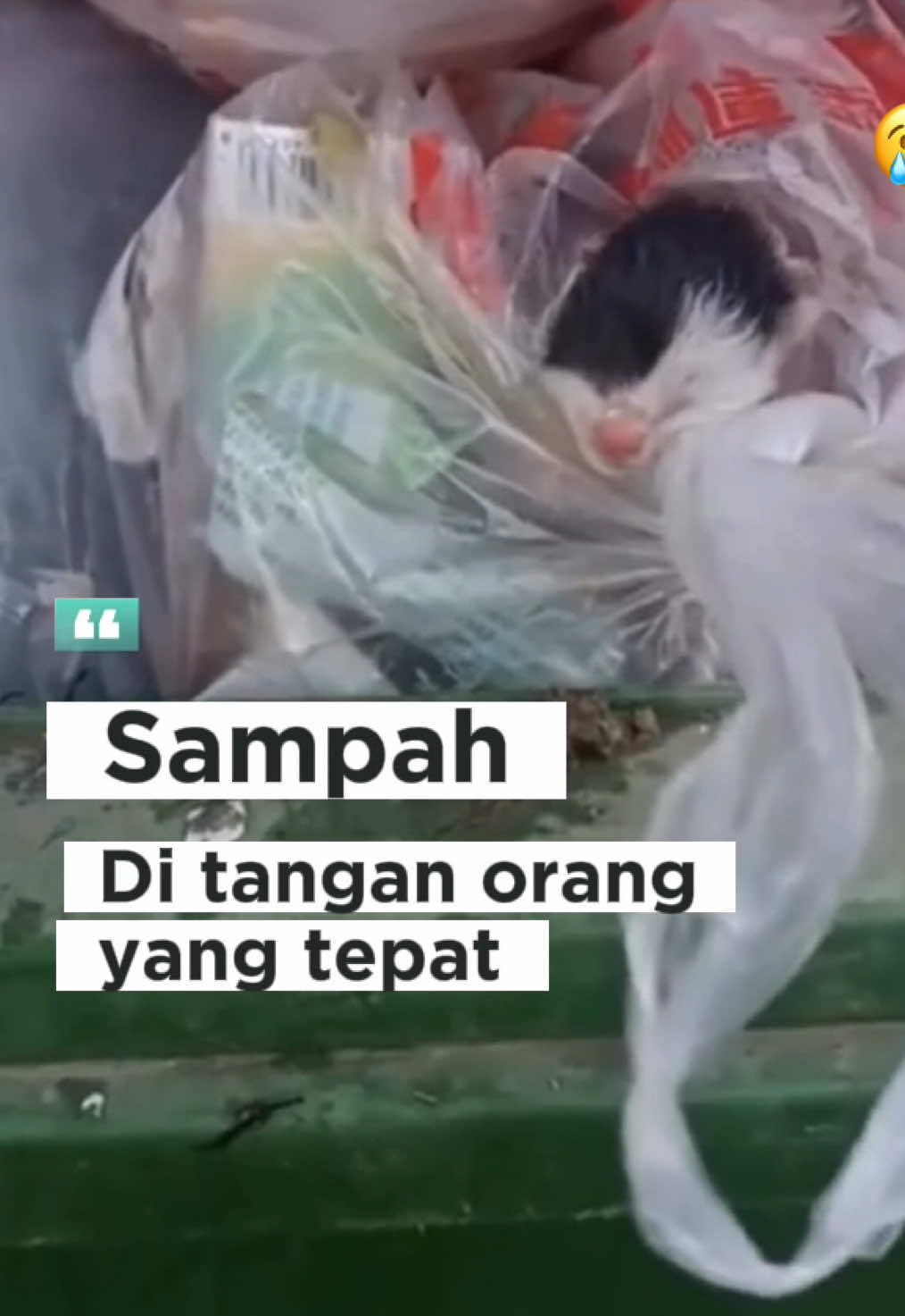 Worning!, Buang kucing ke tong sampah bukan solusi, itu bukti hati sudah kehilangan nurani.#kucing #fypシ゚ #fyppppppppppppppppppppppp #viraltiktok #tranding 