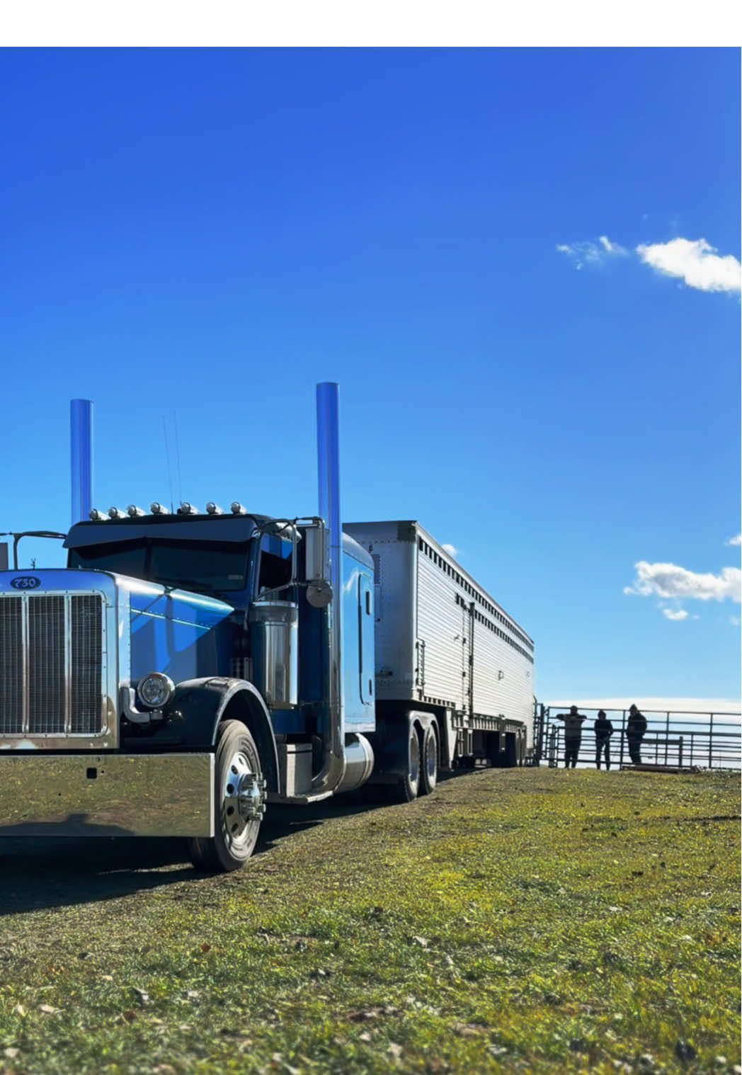 We all just want to be big rockstars 😎 all the mamas and calves are back home 🐮🐄 Big time cowboyin’ @Levi Wald @MaddieWald34 Extra thank you to @Kylie Hildre for an extra hauler today! 🤩  #401ranch #cows #calves #ranchlife #farmlife #peterbilt #fyp #foryou 