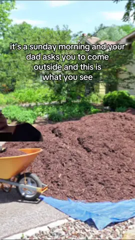 “just need your help with something quick” #dad #meme #worldoftshirts #relatable 