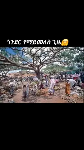 #gonderethiopia💚💛❤🇪🇹ጎንደር  #fyyyyyyyyyyyyyyyy #ጎንደር 🤔
