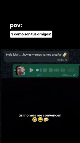 Así a cualquiera lo convencen 🤣😂 #humor #parati #amigos 