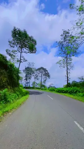 #kebuntehbedakah #wonosobo 