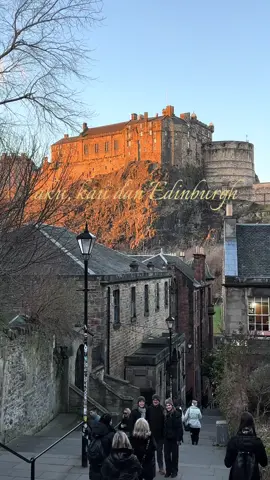 can’t believe id say this but god i miss edin 