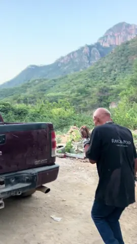 #cumbiasonidera🤣🎶#bailecito🎶🕺🏻#fypシ゚✌🏻 