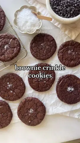 brownie crinkle cookies aka the best of both worlds 🤎 #cookies #browniecookie #recipeshare #bakingcookies 