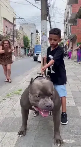 😱Menino de 7 anos enfrenta pitbull, veja no final oque acontece 😱 #pitbull #pitbullsoftiktok #bulllover #stafordshirebullterrier #cachorrosdotiktok 