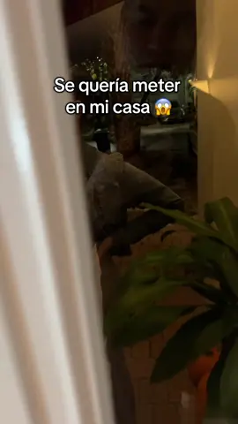 Tarjeta de presentación digital para llevar tu negocio al próximo nivel ❤️ #mobilo #businesscards #businesscard #tiktokshopblackfriday #tiktokshopcybermonday 