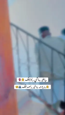 حوش العز طلعتي منه 🫂🫂🥹🥹ديري كيفه وأحسن منه 🤲🥹🫂بي هناتك. يا 🫀16-10-2025الخميس 