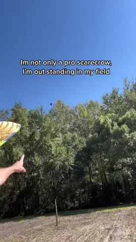 Sorry crows, I can’t help it. (The crows are paid actors in this video.)