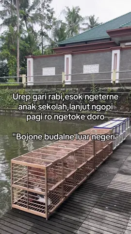 Jan srit😁 #aselabar #zyxcba #merpatikolong #merpatikolongbebas #fyp 