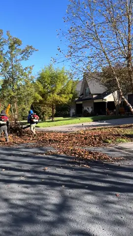 #lawncare #leaves #mowing #landscaping #teamwork 